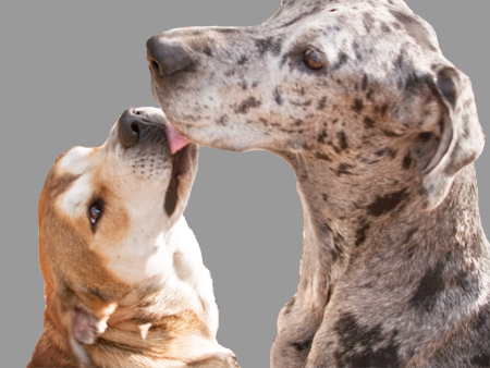 Kid