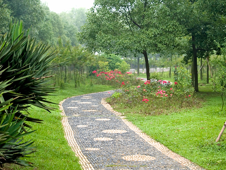 Tree View